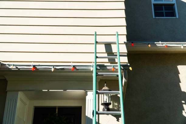 Best Custom Trim and Detailing for Siding  in Edneyville, NC