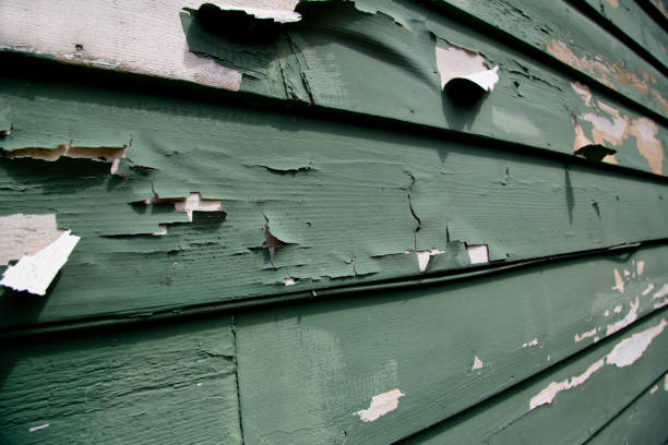 Best Siding Removal and Disposal  in Edneyville, NC