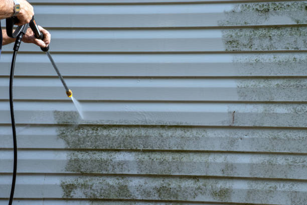 Professional Siding Installation & Repair in Edneyville, NC