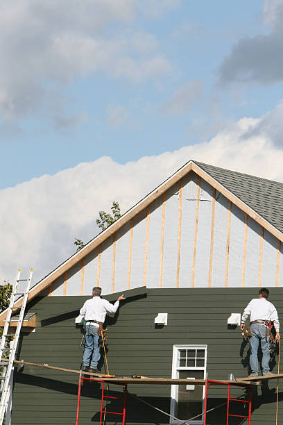 Best Insulated Siding Installation  in Edneyville, NC
