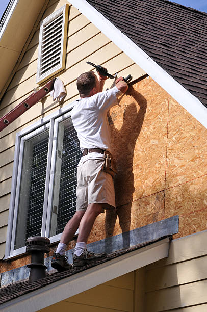 Best Residential Vinyl Siding Installation  in Edneyville, NC
